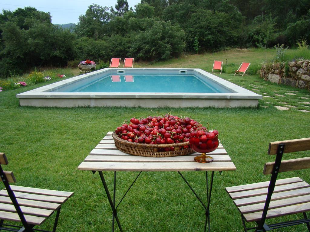 Quinta De Seves Guest House Covilha Exterior photo